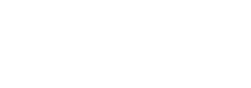 LOGO_ALIX-AVIEN_White